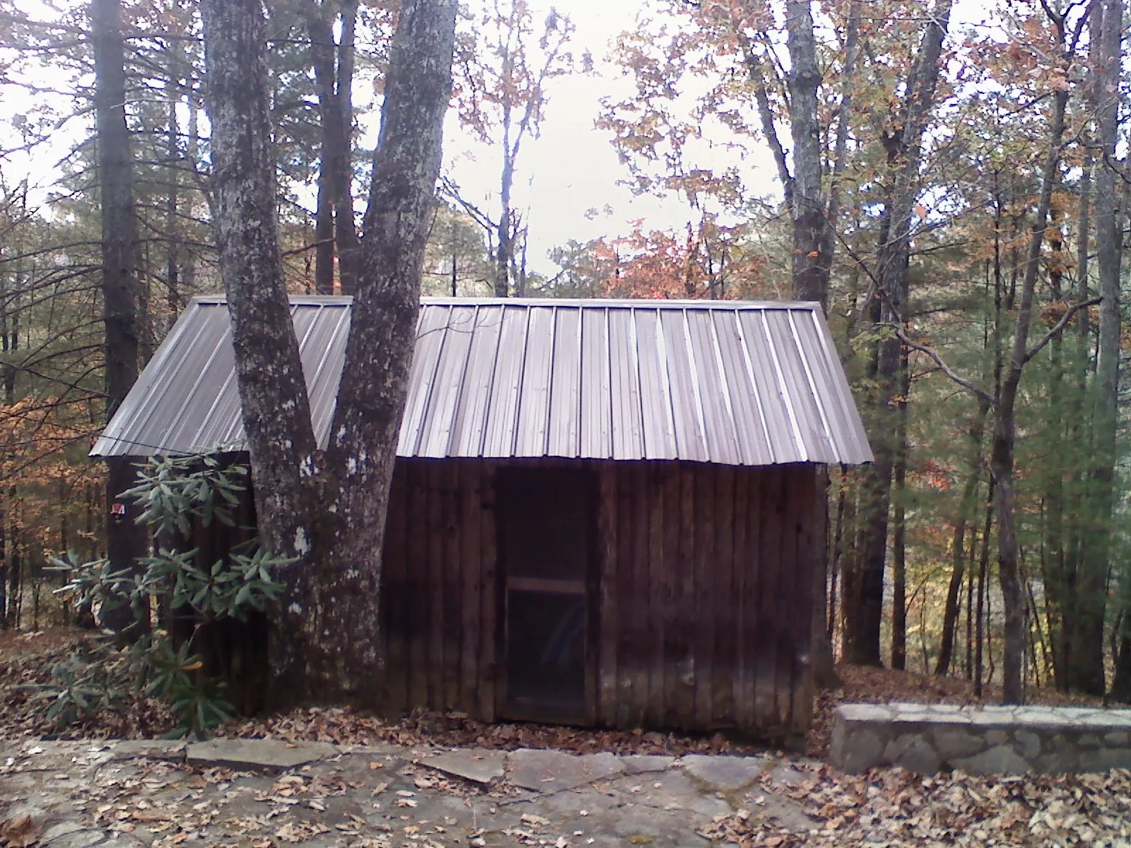 New metal gable roof on a small log shed among the trees in Blackville
